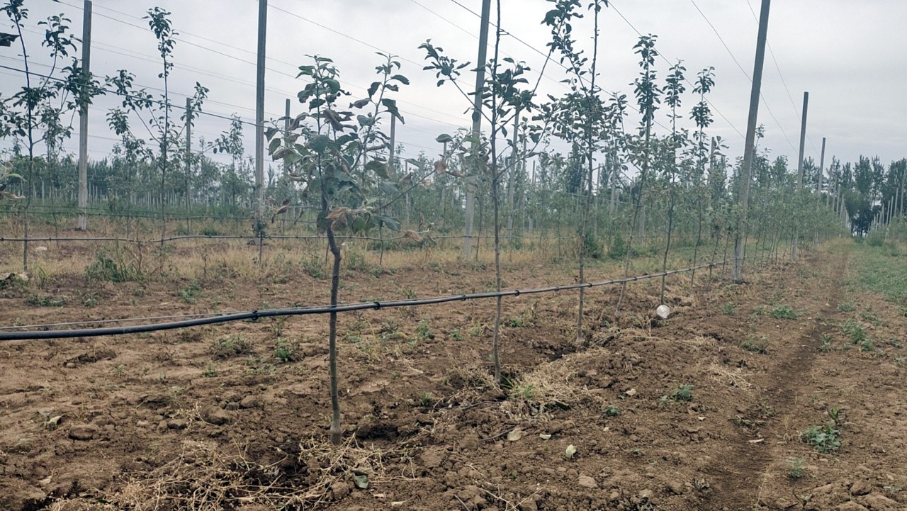 202307101688975590586572.jpg 1b2f72346e0dfcb617d17398639639b0.jpg