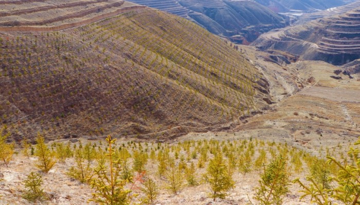 渭河源生態(tài)保護修復(fù)治理項目：人工造林施工穩(wěn)步推進