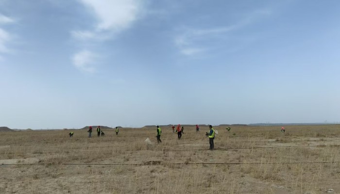 【“三抓三促”行動】不負(fù)春日好時光，全力沖鋒“三北”建設(shè)